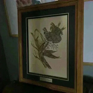 Original Oil Painting. Framed and signed with  plaque.🦤🐦